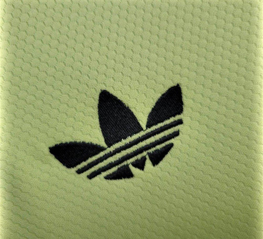 Maillot Réal Madrid Gardien Édtiton Vert 24/25