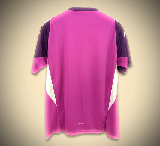 Maillot Concept Algérie Édition Violet/Rose 25/26