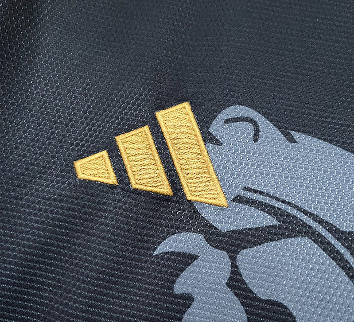 Maillot Concept Aston Villa Edition Dragon 24/25