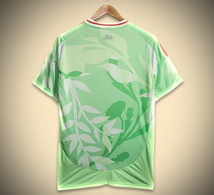 Maillot Italie Extérieur Vert 24/25