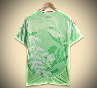 Maillot Italie Extérieur Vert 24/25