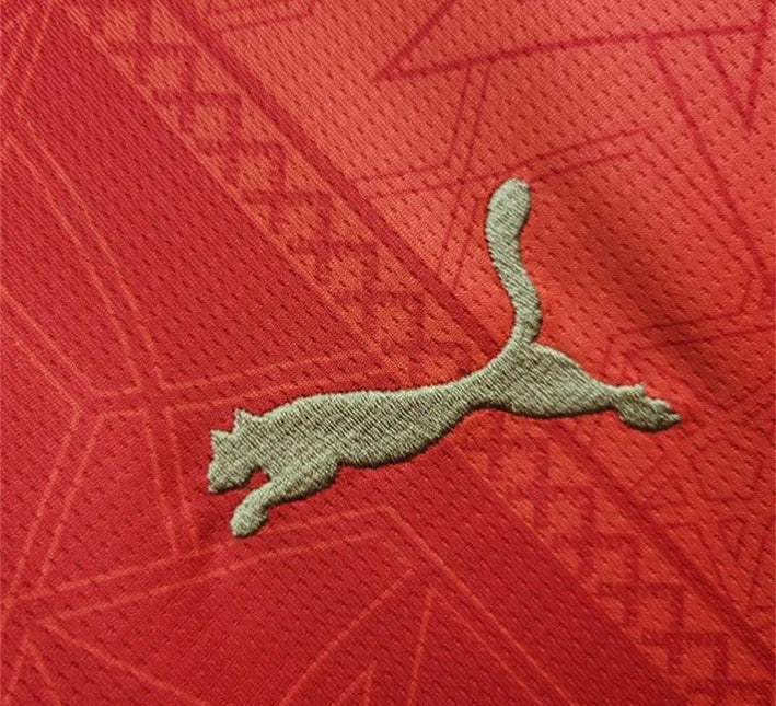 Maillot Maroc Domicile 24/25