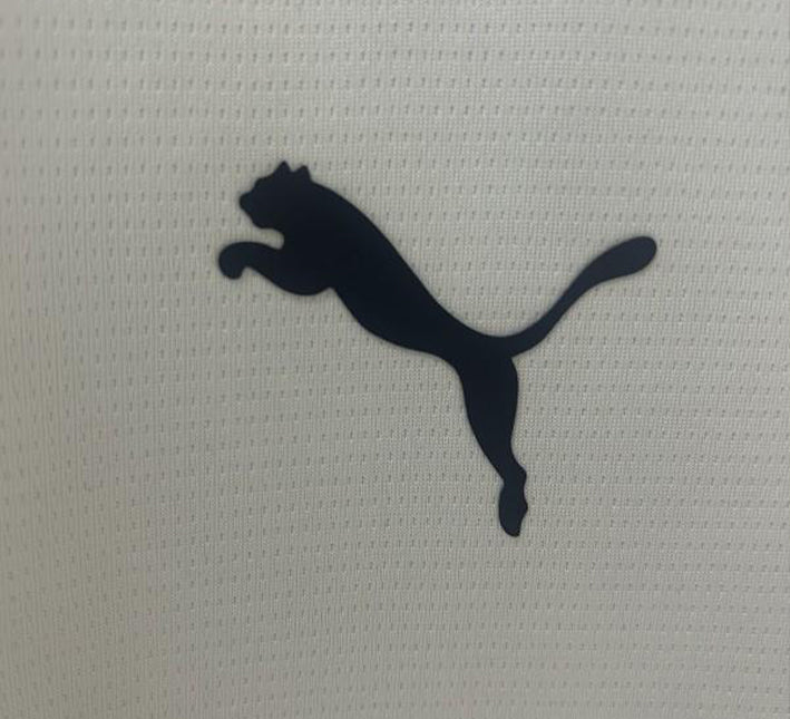 Maillot Portugal Entraînement Blanc 24/25