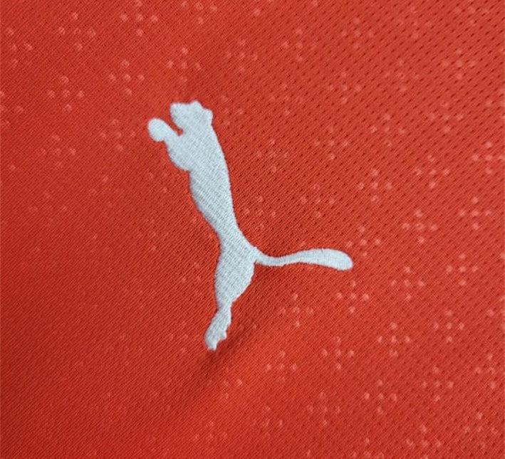 Maillot Portugal Domicile 24/25