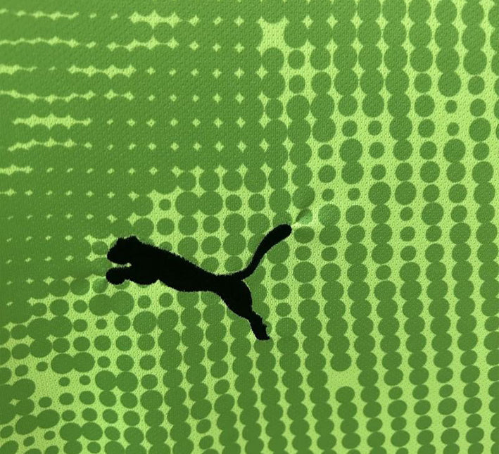 Maillot Portugal Gardien Vert 24/25