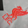 Maillot concept Liverpool saison deux mille vingt quatre deux mille vingt cinq