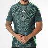Maillot Algérie Extérieur 2425
