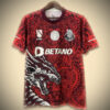 Maillot Concept FC Porto Édition Rouge 2425