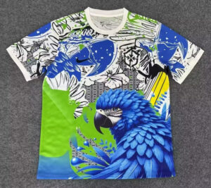 MAILLOT BRESIL CONCEPT A 20252026