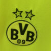 Maillot Concept Borussia Dortmund Édition Vert 2024-2025 vue de profil