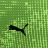 maillotportugalvertpuma.jpg Maillot Portugal Gardien Vert 2024-2025 detail tissu