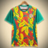 Maillot Sénégal Avant-Match 2024 vue de face