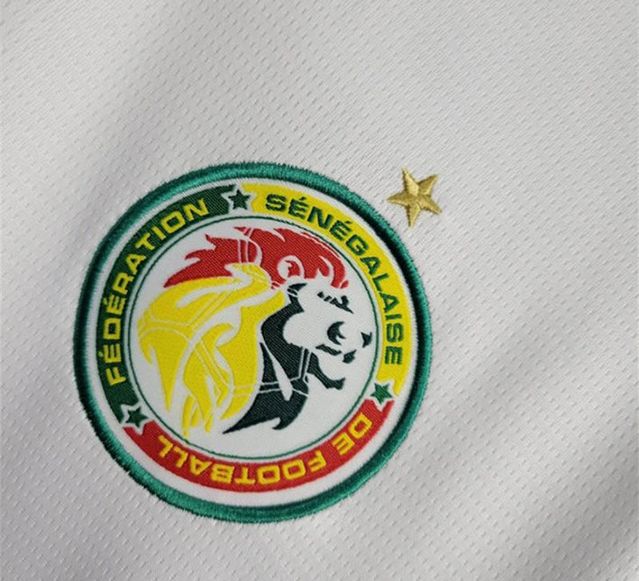 Maillot Sénégal Domicile 2024 vue de profil