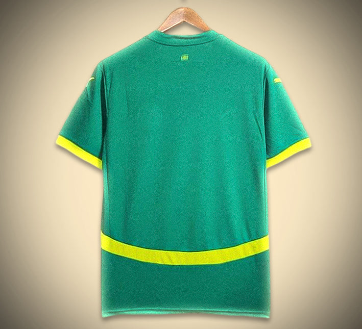 Maillot Sénégal Extérieur 2024 vue de dos