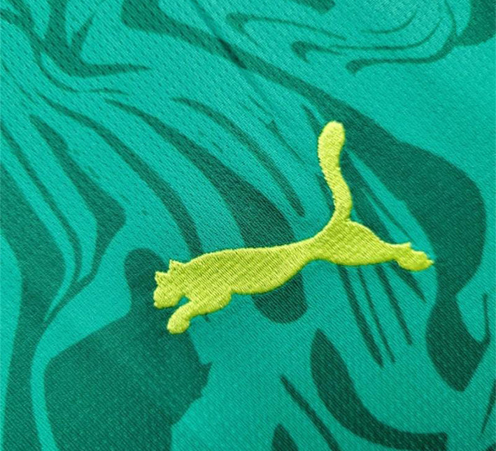 Maillot Sénégal Extérieur 2024 detail tissu