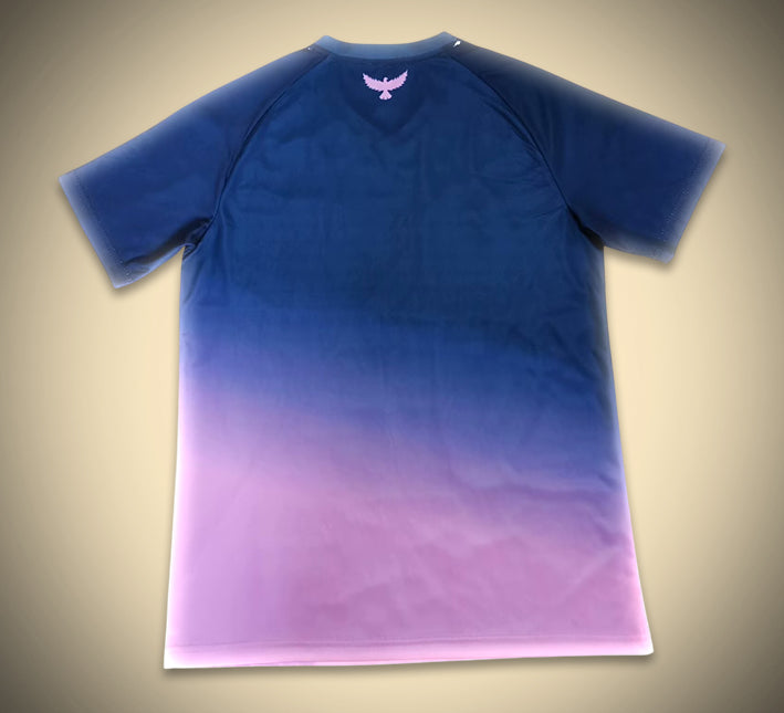 Maillot concept Tunisie rose et bleu édition supporter football