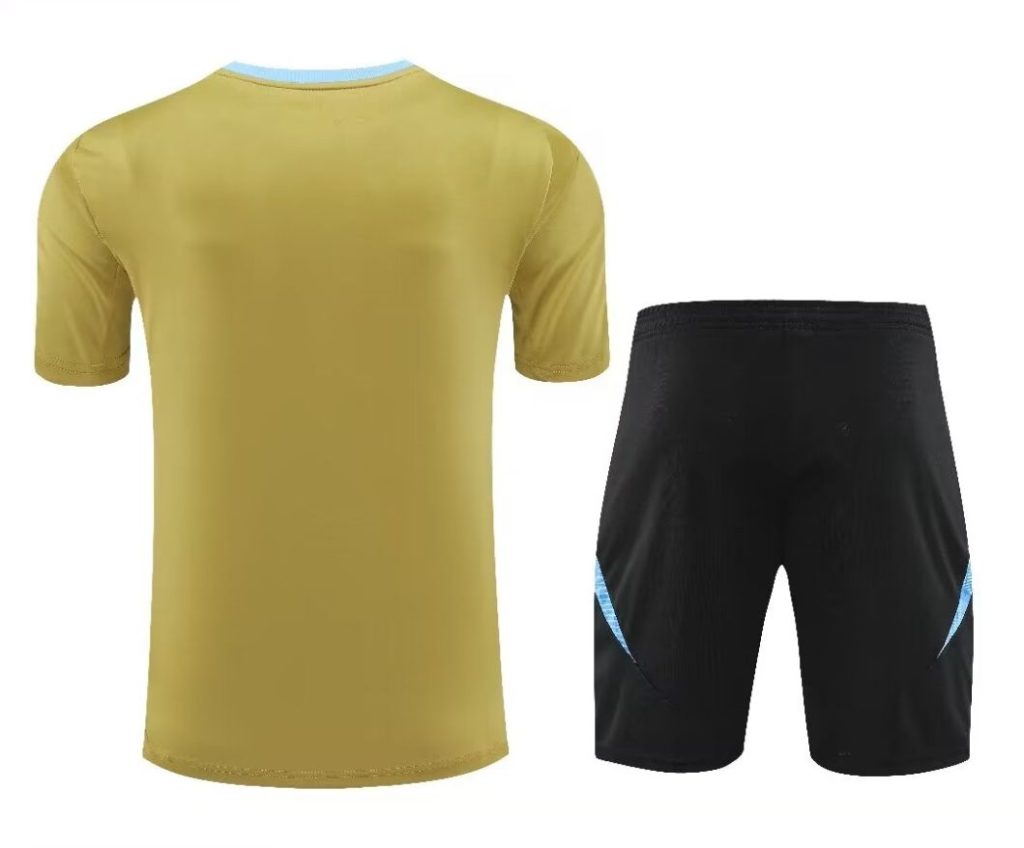 ensemble maillot et short Argentine saison vingt vingt quatre vingt vingt cinq