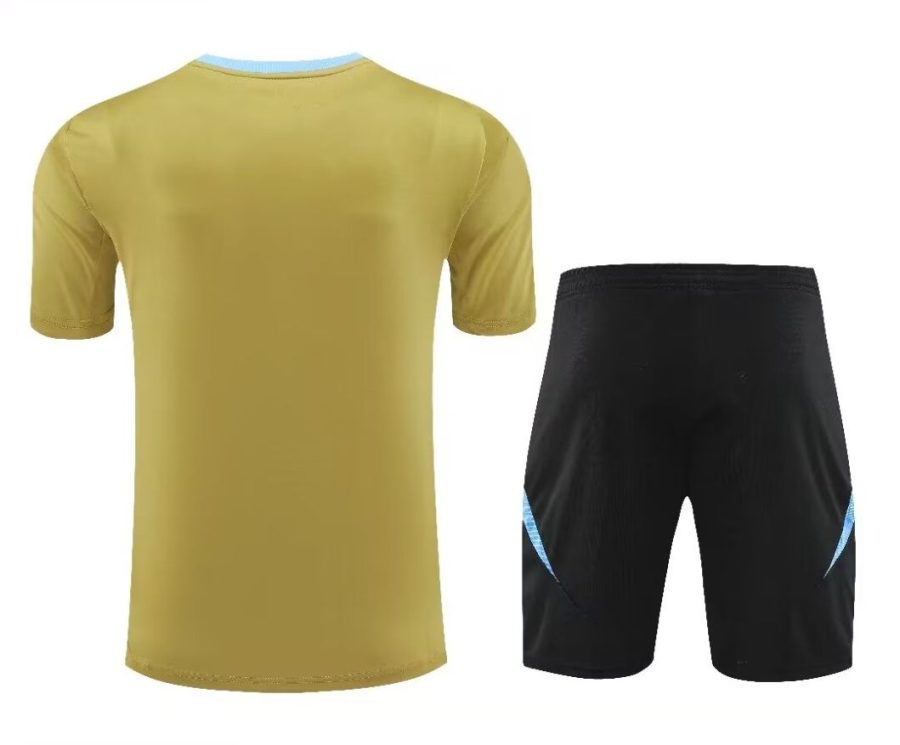 ensemble maillot et short Argentine saison vingt vingt quatre vingt vingt cinq