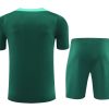 Ensemble maillot et short Portugal saison 2024 2025 tenue de football