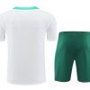 Ensemble maillot et short Portugal saison 2024 2025 tenue de football