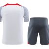 Ensemble training Liverpool blanc et gris saison vingt vingt trois vingt vingt quatre
