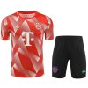 kit-training-bayern-munich-rouge-2-20232024 KIT TRAINING BAYERN MUNICH ROUGE 2 20232024