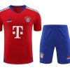 kit-training-bayern-munich-rougebleu-20232024 KIT TRAINING BAYERN MUNICH ROUGEBLEU 20232024
