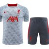 KIT TRAINING LIVERPOOL GRIS 20232024