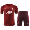 KIT TRAINING LIVERPOOL ROUGE 20232024