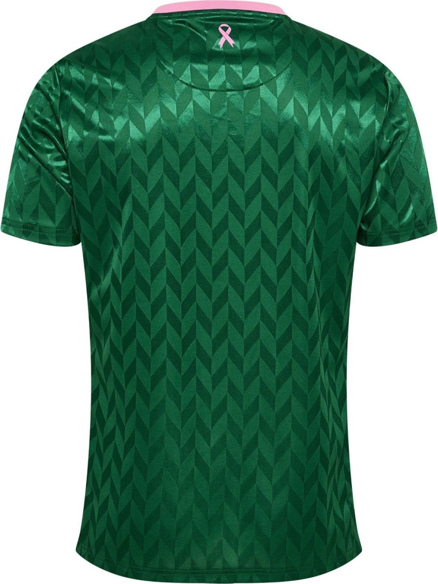 maillot-de-football-as-saint-etienne-edition-octobre-rose-saison-deux-mille-vingt-cinq-deux-mille-vingt-six maillot de football AS Saint Étienne édition octobre rose saison deux mille vingt cinq deux mille vingt six