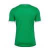 maillot-domicile-as-saint-etienne-saison-2024-2025-vert-et-blanc maillot domicile AS Saint Étienne saison 2024 2025 vert et blanc