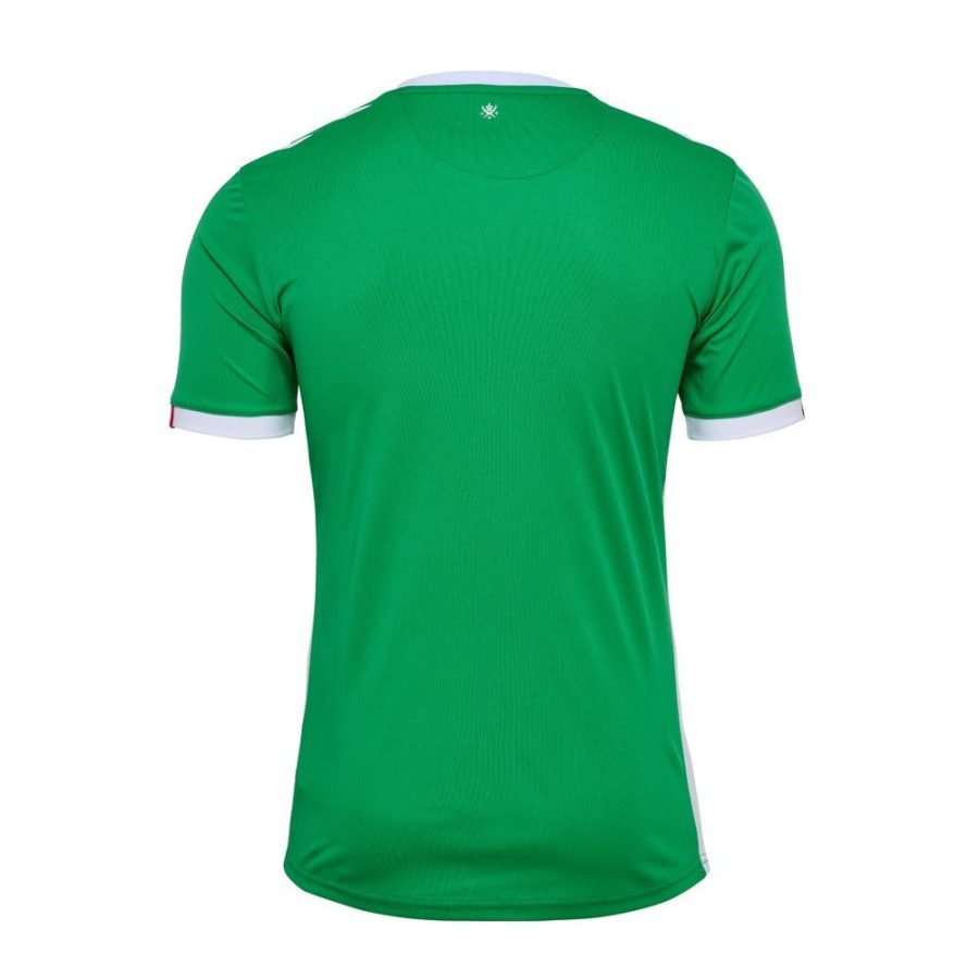 maillot-domicile-as-saint-etienne-saison-2024-2025-vert-et-blanc maillot domicile AS Saint Étienne saison 2024 2025 vert et blanc