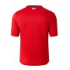 Maillot domicile LOSC Lille saison 2024 2025