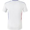 maillot domicile olympique lyonnais saison deux mille vingt quatre deux mille vingt cinq