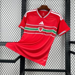 Maillot Domicile Pays De Galles 2026