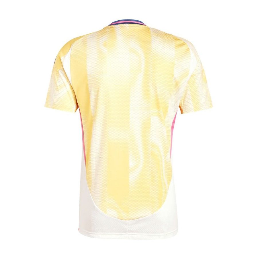maillot extérieur Juventus saison 2024 2025 tenue officielle noir et blanc