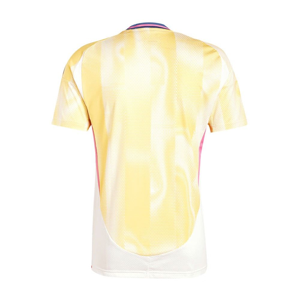 maillot extérieur Juventus saison 2024 2025 tenue officielle noir et blanc