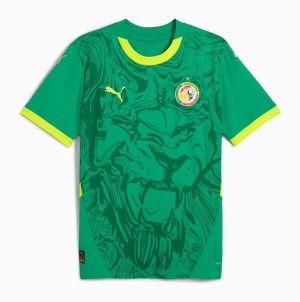 MAILLOT SENEGAL EXTERIEUR 20242025