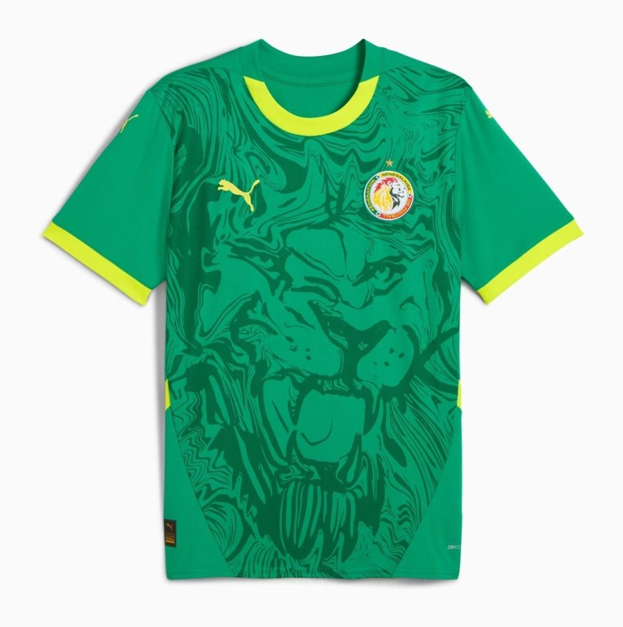 MAILLOT SENEGAL EXTERIEUR 20242025