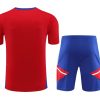 tenue-entrainement-bayern-munich-rouge-et-bleu-saison-2023-2024 tenue entraînement Bayern Munich rouge et bleu saison 2023 2024
