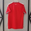 110c61c91b17d8d3715fdfac4ab63c0d.jpg Maillot Wales Domicile 2025/26