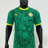 Maillot Sénégal Extérieur Vert CAN 2025-26