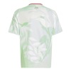 25af1ebd1a51.jpg Maillot Italie Extérieur EURO 2025
