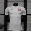 3b1e028b.jpg Maillot Lyon Concept 2025-26