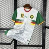 4fb05e84.jpg Maillot Cameroun CAN 2025-26