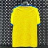 6ed1fd861da56ee17c1eae8b82568786.jpg Maillot Ukraine Domicile 2025/26
