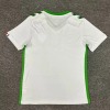 Maillot AS Saint-Étienne Extérieur 2024-2025