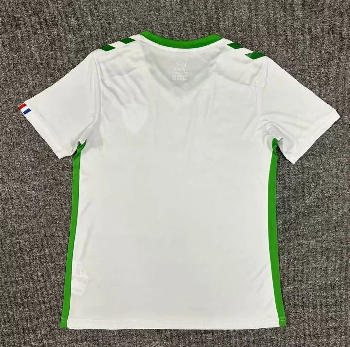 Maillot AS Saint-Étienne Extérieur 2024-2025