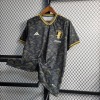 Maillot Japon Concept 2023-2024 Dragon