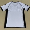 975B442E-BB9F-4337-A419-950A2A54799C.jpg Maillot Valence CF 2010/11 Domicile